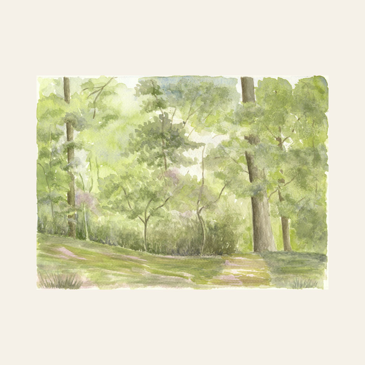 A Path through Soignes — Framed Fine Art Paper Print