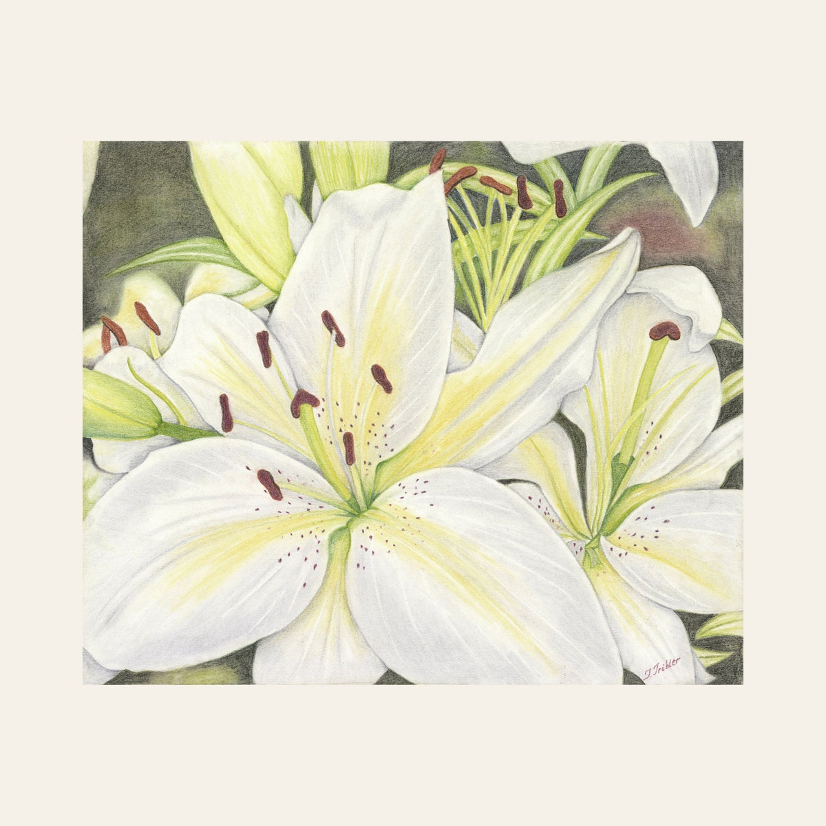 Casa Blanca — Framed Fine Art Paper Print