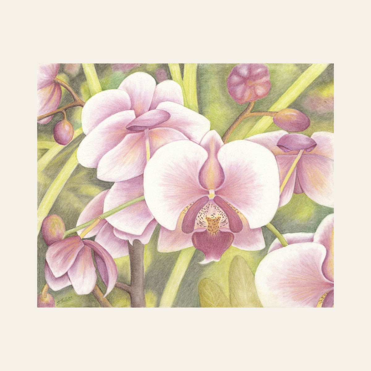 Orchid Cascade — Framed Fine Art Paper Print