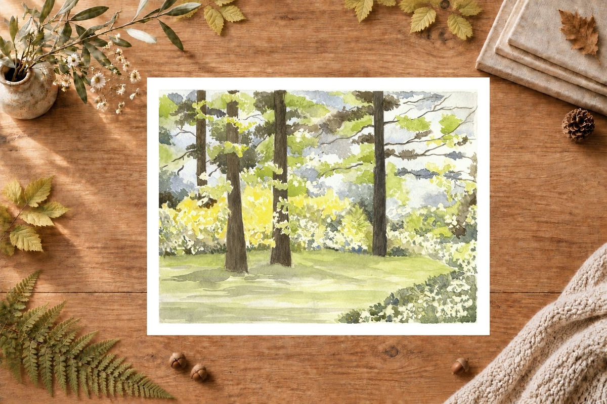 The Light of Soignes — Unframed Fine Art Paper Print