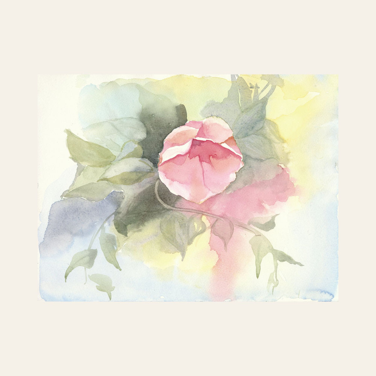 Soft Blush — Framed Fine Art Paper Print