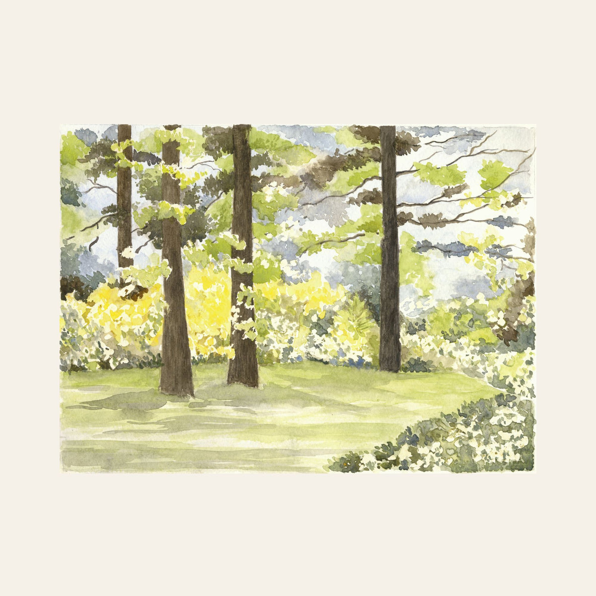 The Light of Soignes — Framed Fine Art Paper Print