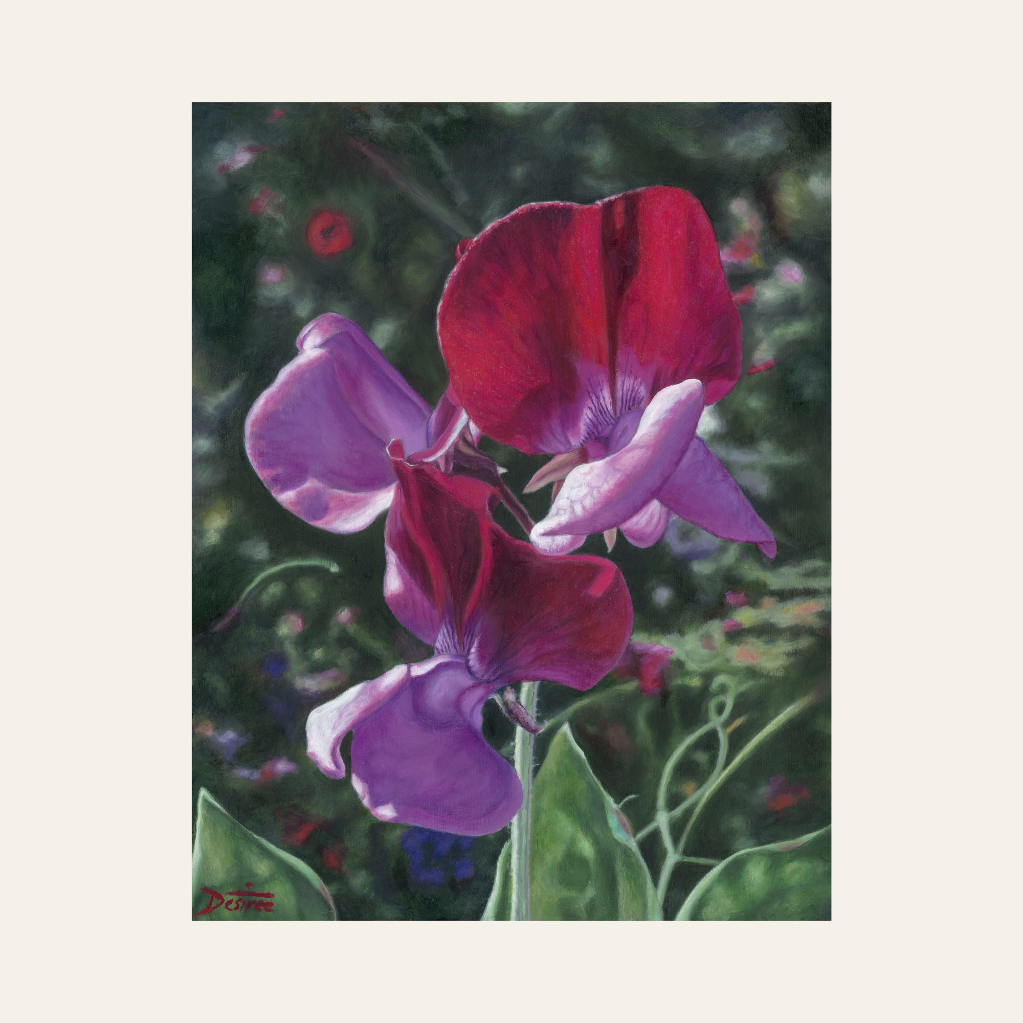 The Sweet Peas — Canvas Print | Limited Edition of 50